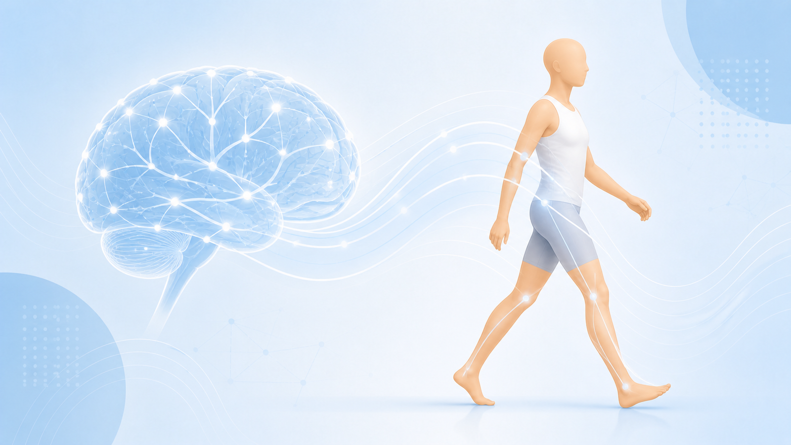 Nörolojik rehabilitasyonda beyin nöral ağı ile hareket arasındaki ilişkiyi temsil eden anatomik illüstrasyon