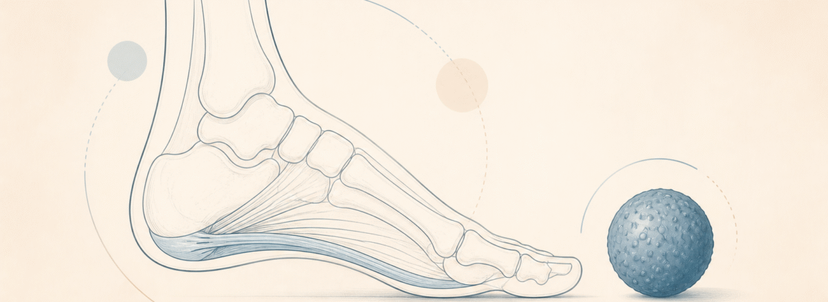 Plantar Fasiit — Ayak ve plantar fasya yan görünüm anatomik çizimi